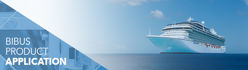 BIBUS in practice: coaxial valves for the maritime sector