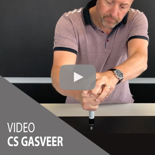 video cs gasveer
